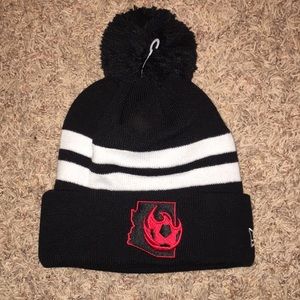 NWT Phoenix Rising winter beanie